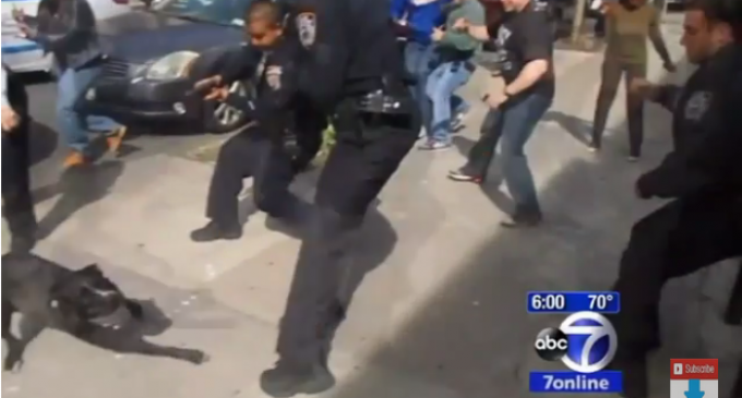 Cop Shoots At Dog Among Crowd, Ricochets Flying – “You almost shot me!”