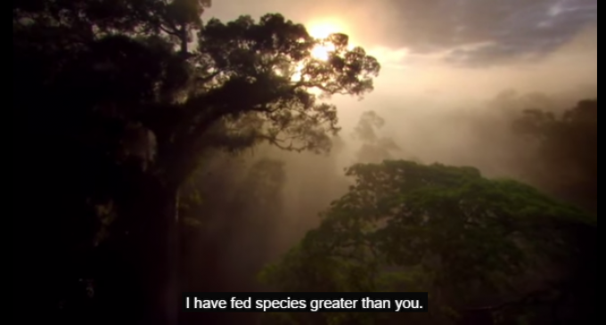 CNN Broadcasts Very Creepy Anti-Human PSA