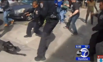 Cop Shoots At Dog Among Crowd, Ricochets Flying – “You almost shot me!”